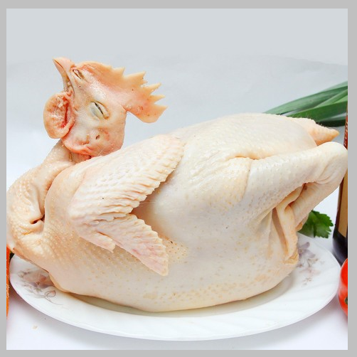 NGUYỄN QUỐC KHÁNH